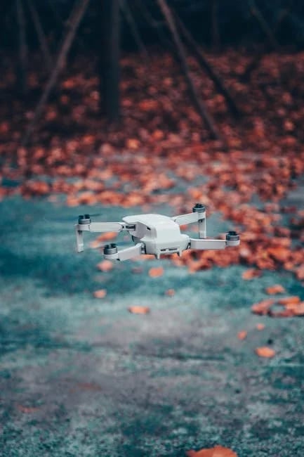 Image describing Top 7 UiPath RPA Secrets You Must Know in 2025!
