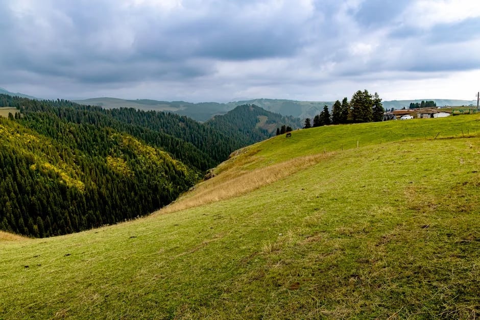 Image describing Top 7 Dreamlight Valley Switch Hacks You Need Now!