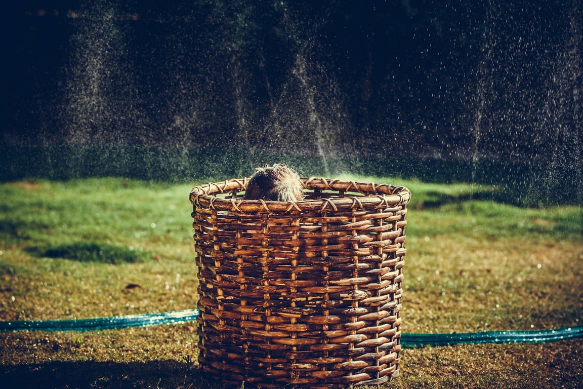 backyard sprinkler system