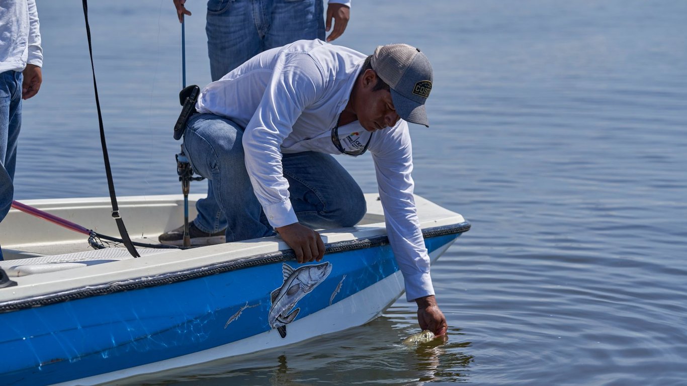 Fish Brain: What Anglers Can Learn From How Fish Think