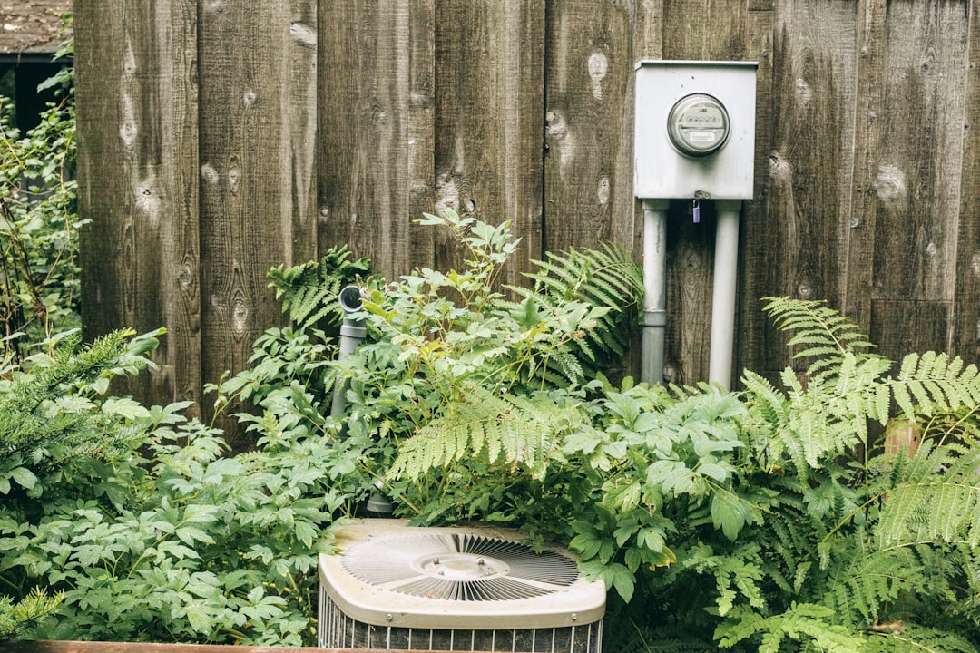 Air Conditioner Tune Up Near Me: How to Choose a Qualified Local HVAC Technician