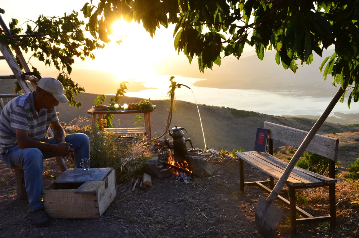 organized tent campsite