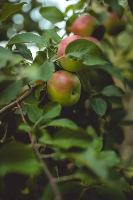 Image describing How to Create the Best Orchard Home in 2025