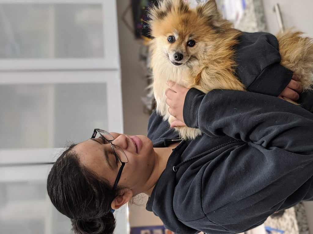 veterinarian examining dog