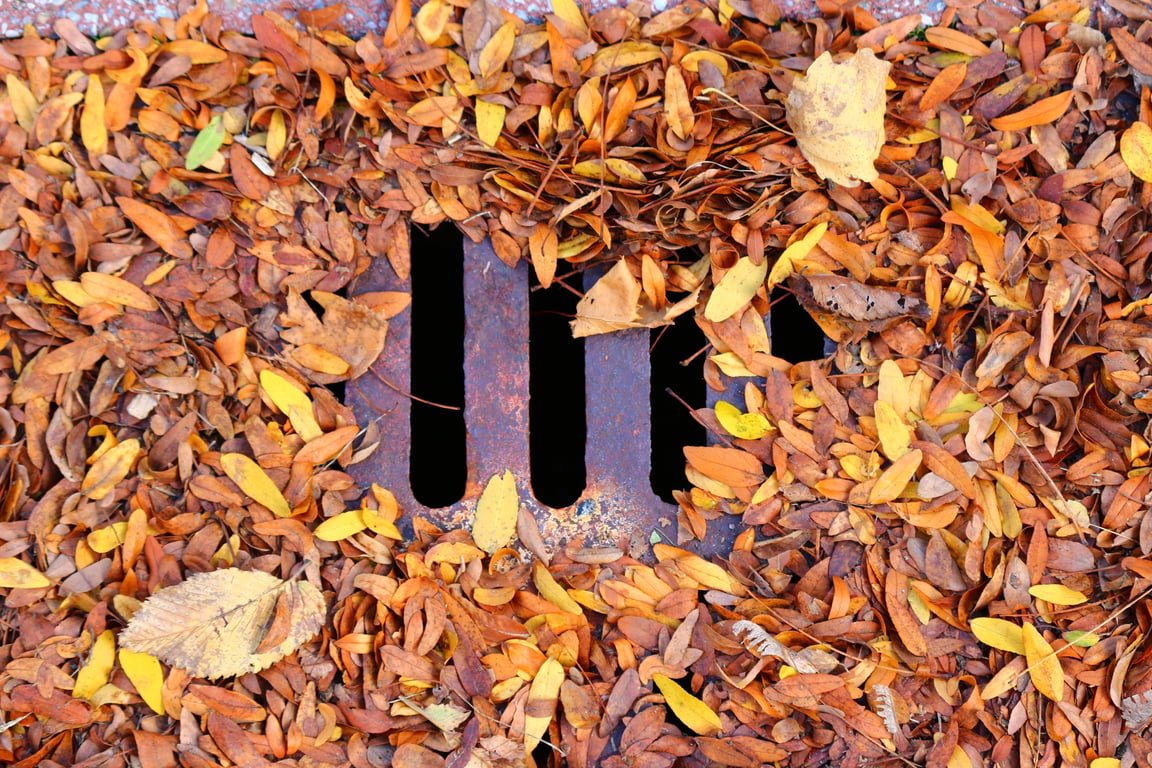 sewer drain cleanout pipe