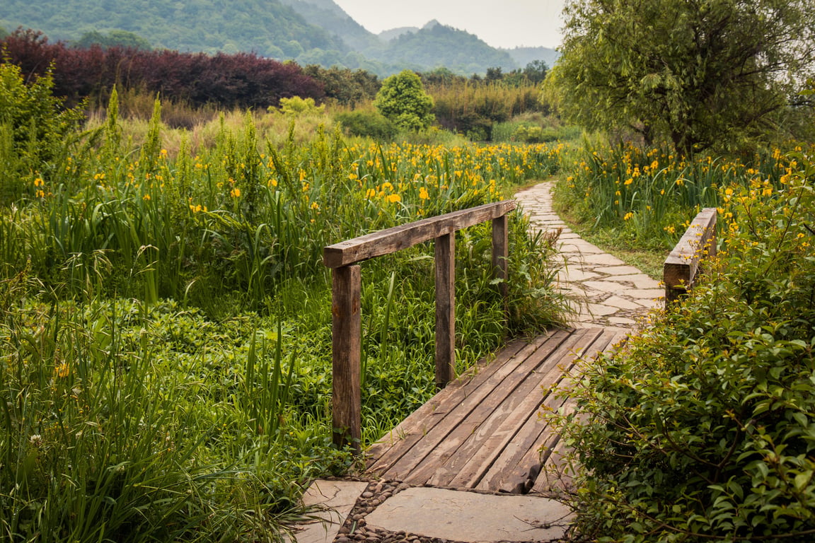 mulched garden path