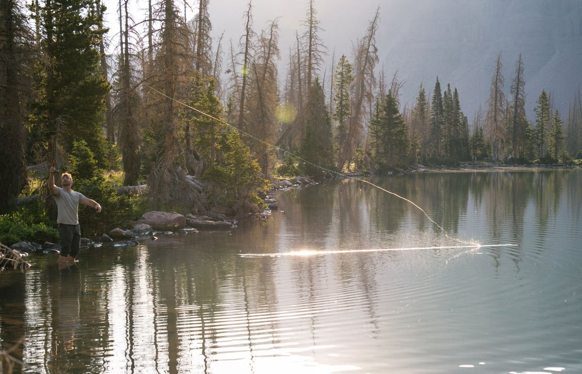 Fly Fishing Near Me: How to Find Productive Local Water and Plan Your First Trip