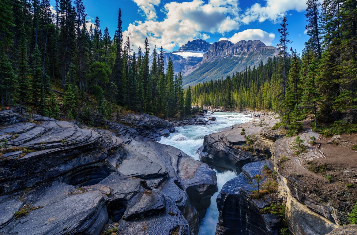 Forest River trailer
