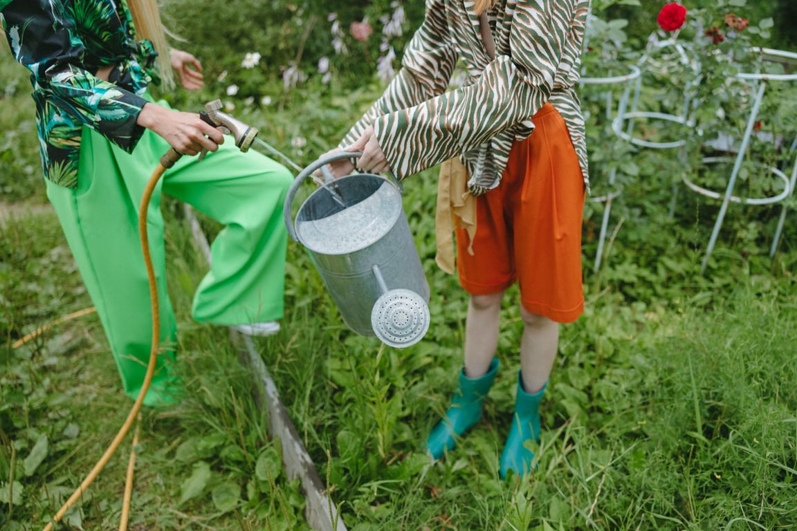 Garden Maintenance Near Me: How to Choose a Reliable Local Service