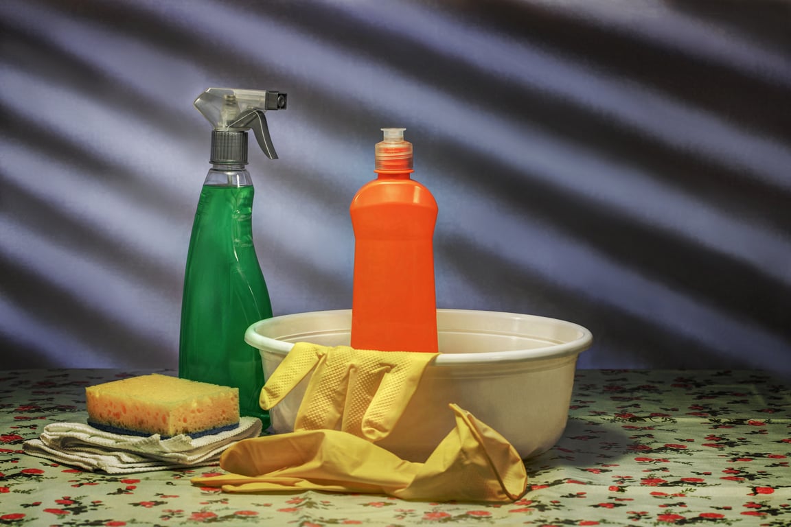 professional home cleaners