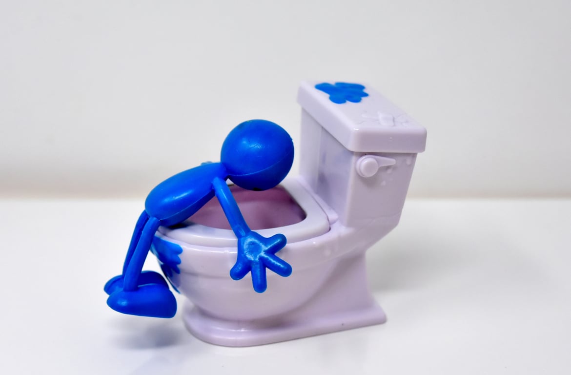 toilet plunger