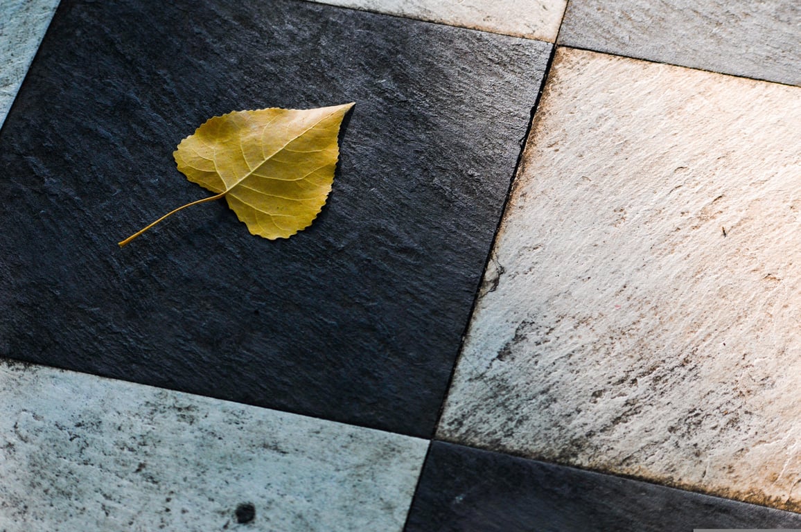 backyard stone patio