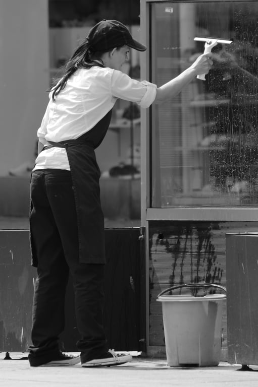 water-fed pole window cleaning