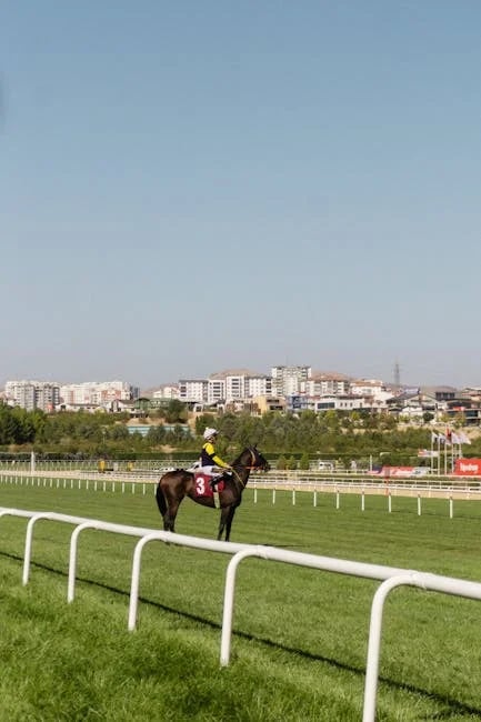 Image describing Top 7 Best Model 3 Competitors to Buy Now in 2026?