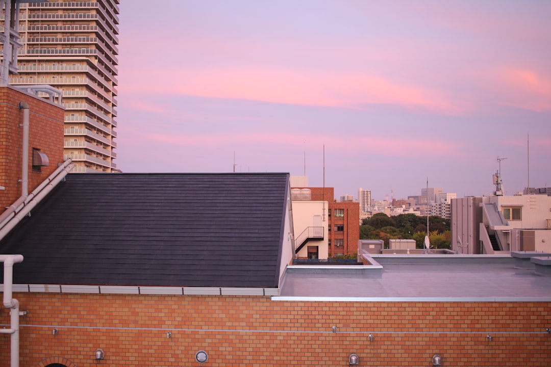 residential rooftop solar panels