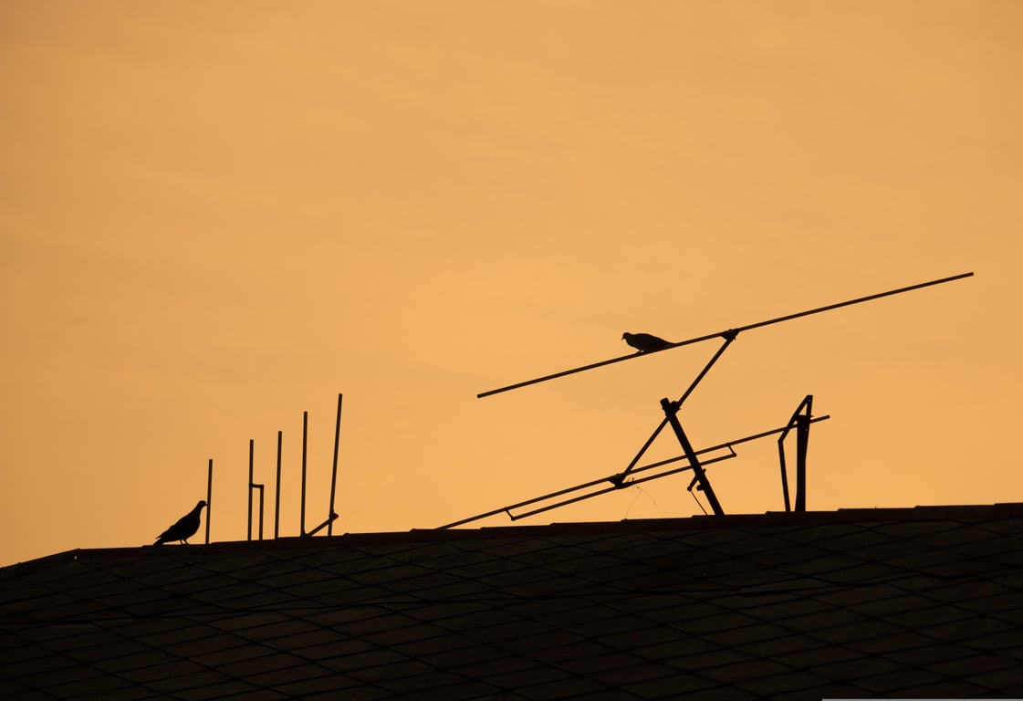 rooftop solar panels