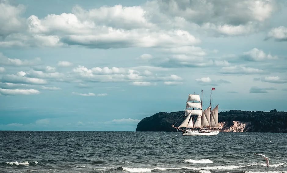 Image describing How to Sell NFTs on OpenSea Fast in 2026 7 Tips?