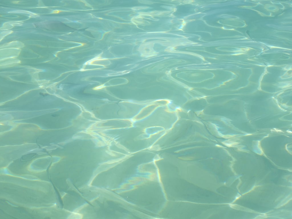 swimming pool cleaning