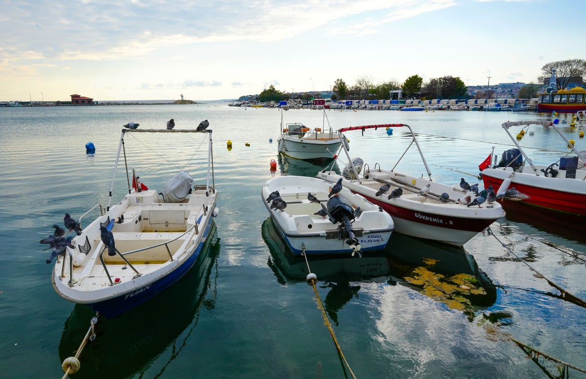 Best Aluminum Bass Boat: How to Choose the Right Hull, Layout, and Ownership Costs