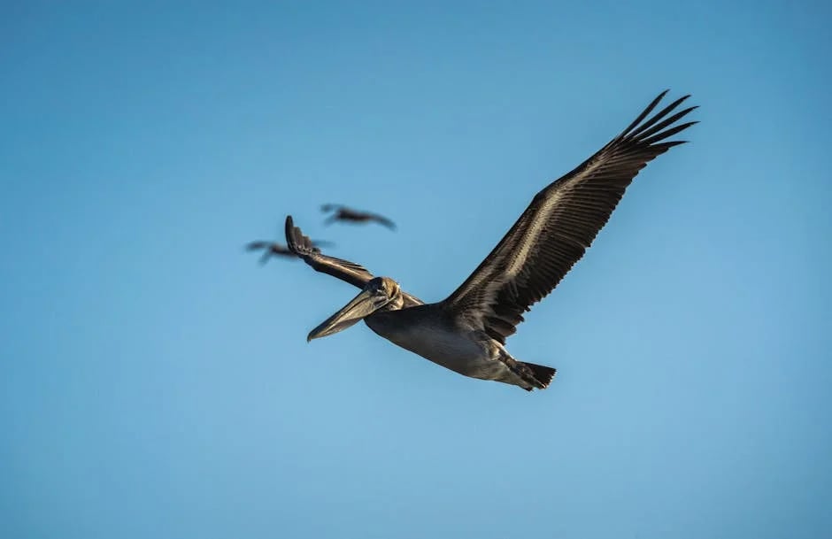 Image describing Top 7 Free Scholarships Guaranteed for 2025 Success!