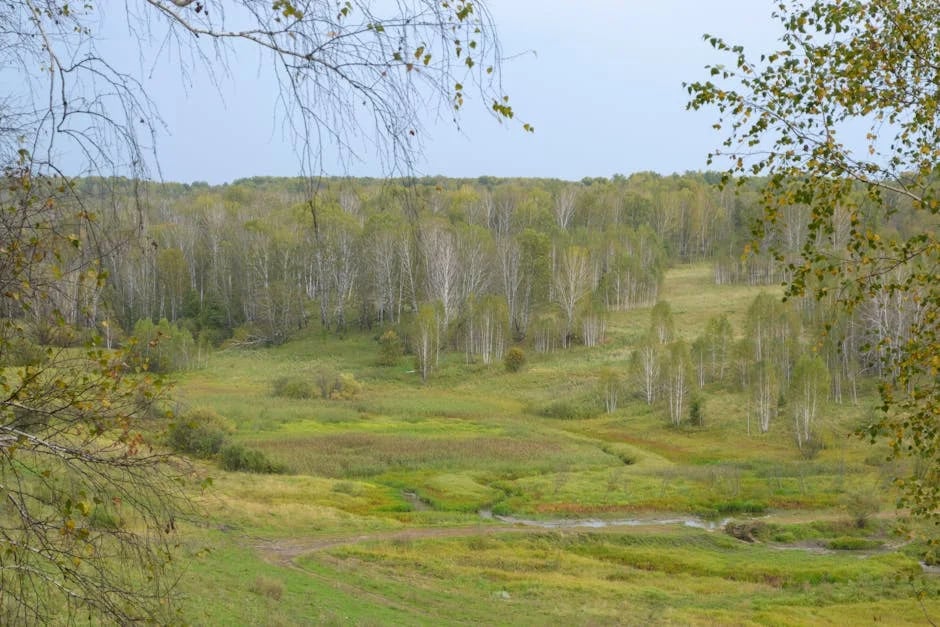 Image describing Top 7 Free Scholarships Guaranteed for 2025 Success!