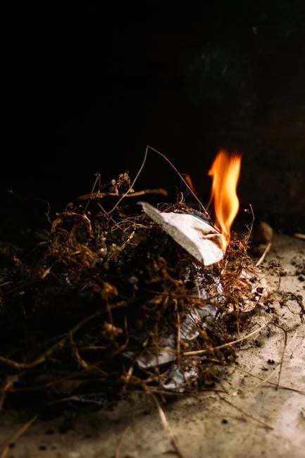 Image describing Unlock the Best Fuel Rewards of 2025 Now!