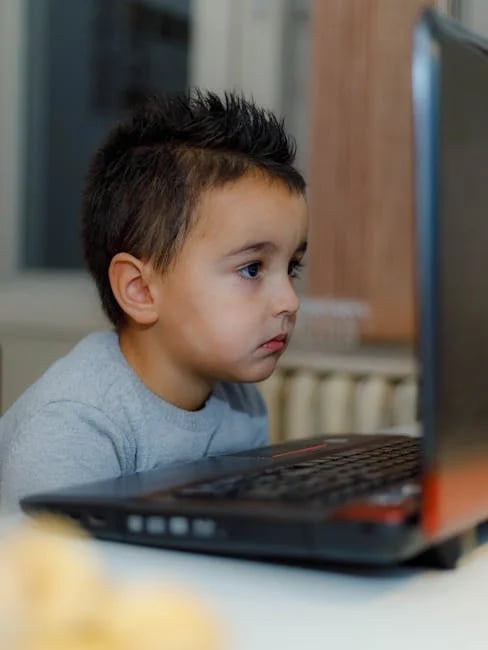 Image describing Top 5 Reasons to Get Your Online Education Degree Now