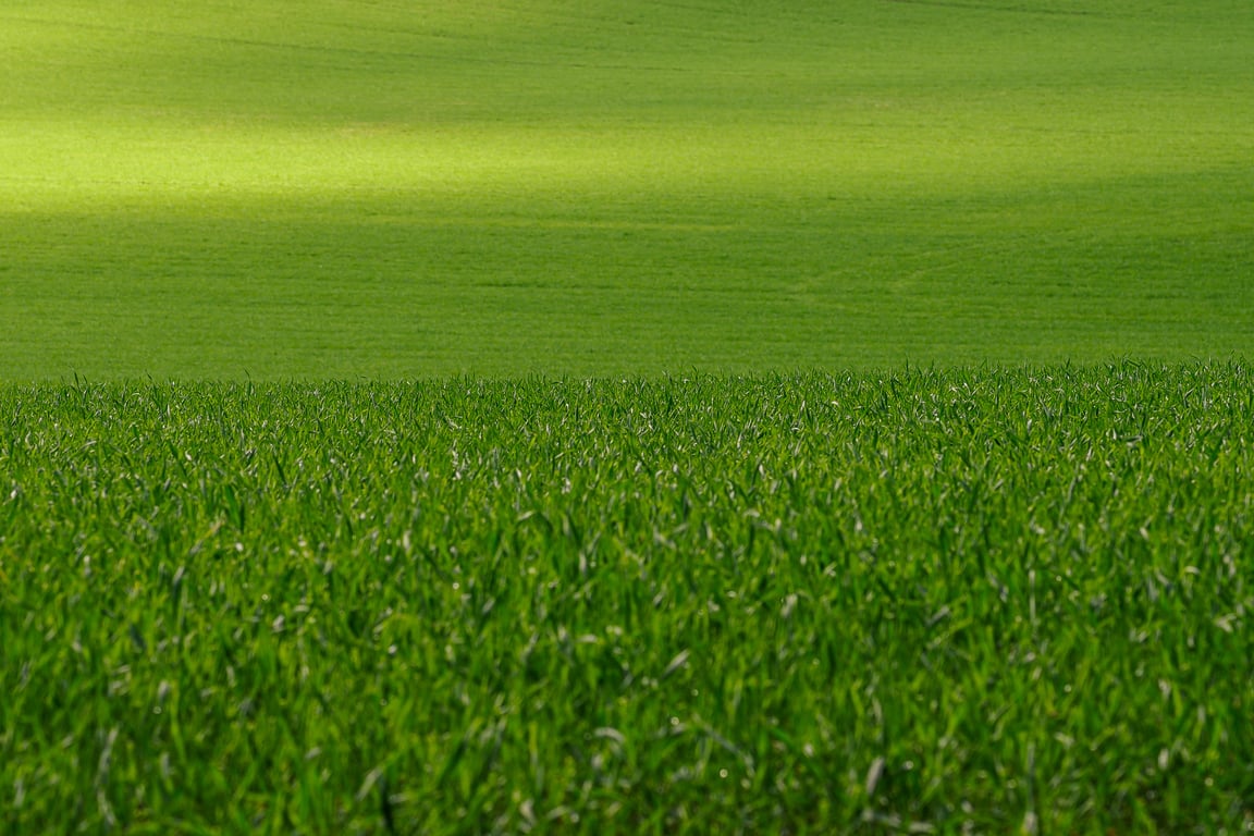 lawn aeration service