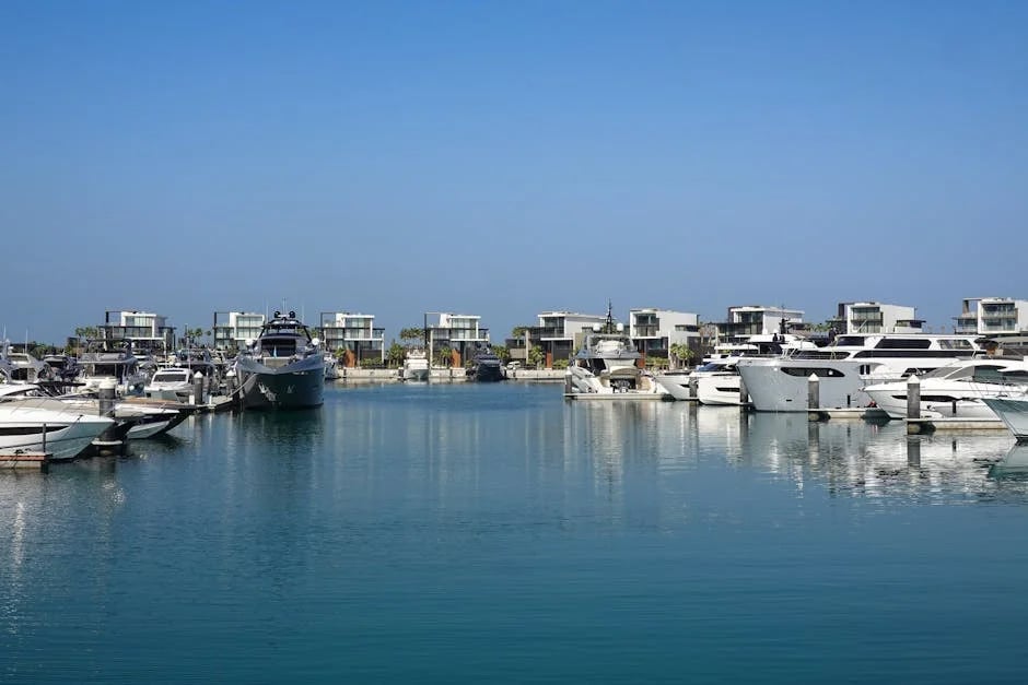 Image describing Top 10 Secrets to Winning a Commonwealth Scholarship!