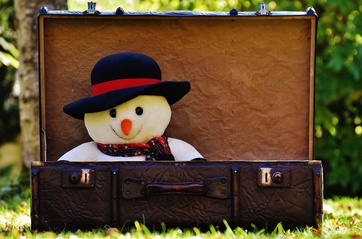 Away suitcase removable battery