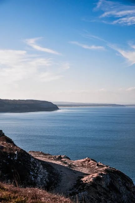 Image describing How to Play Empire Earth on Android Top Tips for 2025!