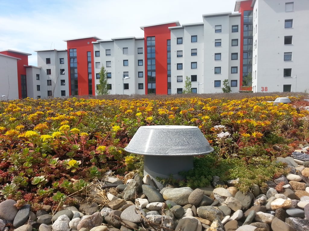 complex residential roof