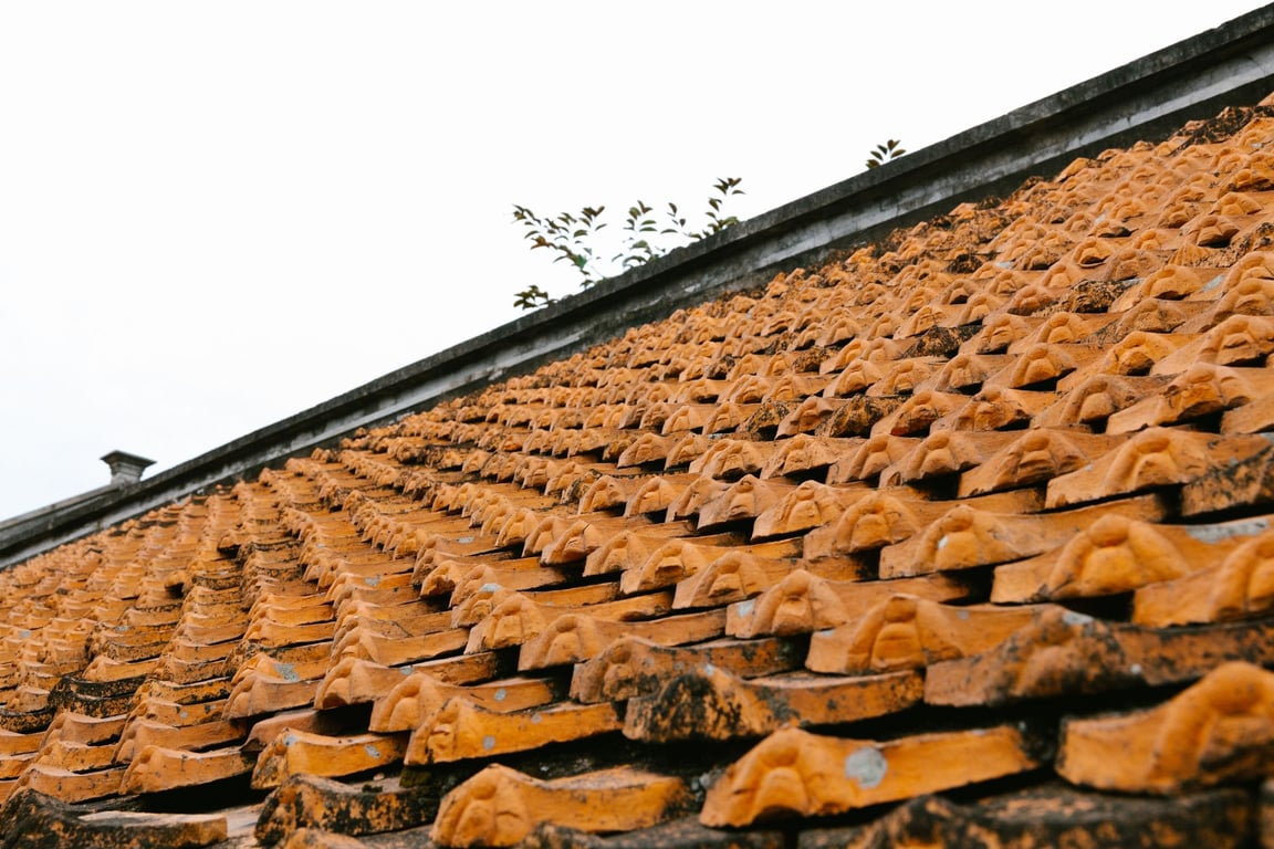 Roofing Cost: What Homeowners Should Budget Before Replacing a Roof