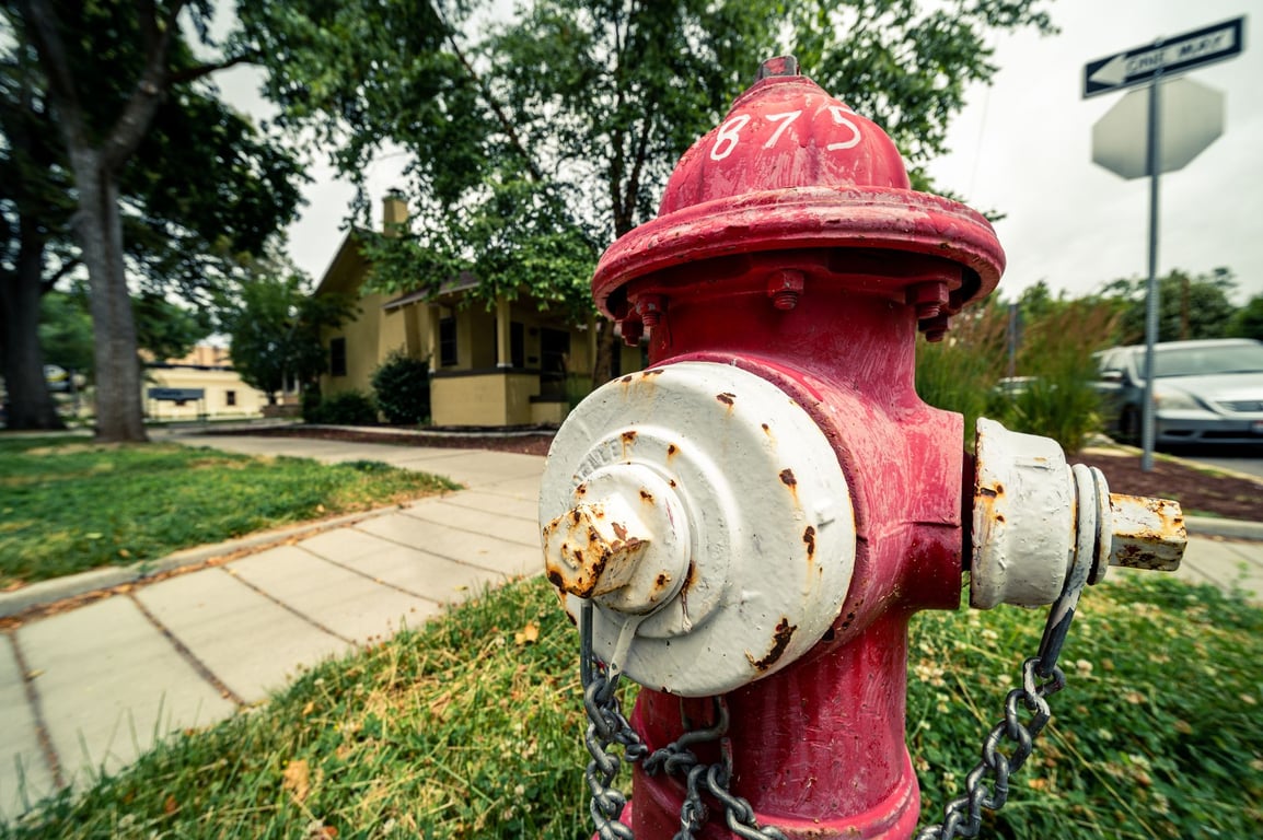 Roto-Rooter Hydro Jetting Cost: What Homeowners Should Expect to Pay