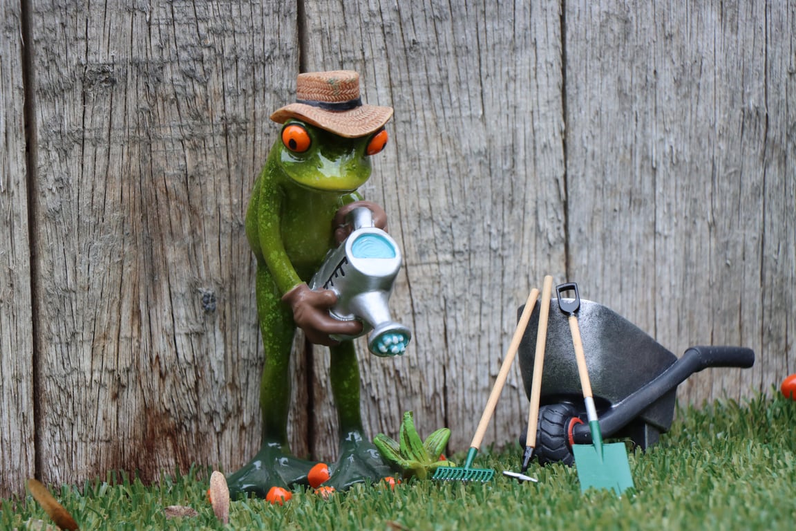 garden maintenance service