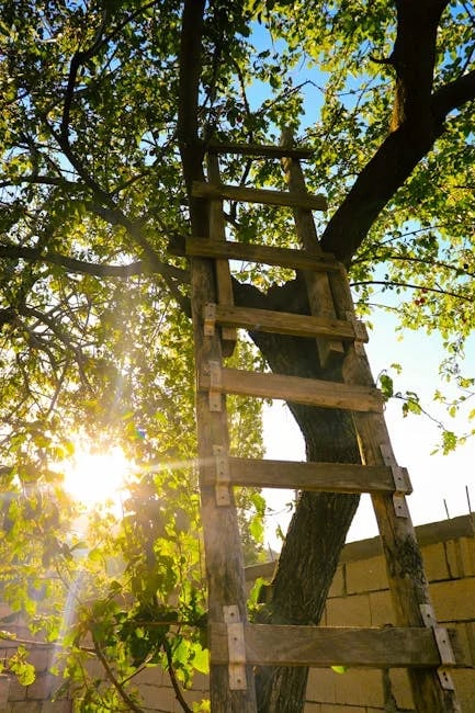 Image describing How to Get the Best Ladder Life Insurance Now in 2026?