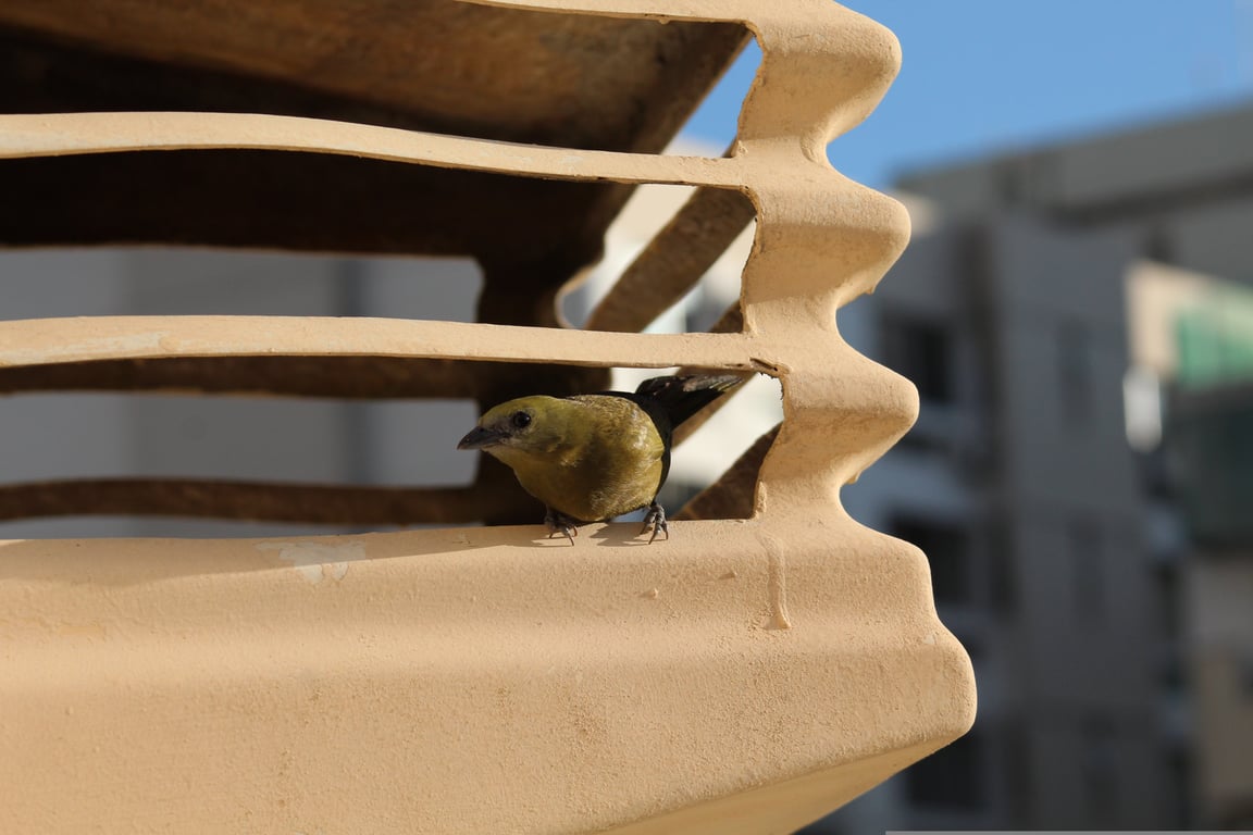 air conditioner technician