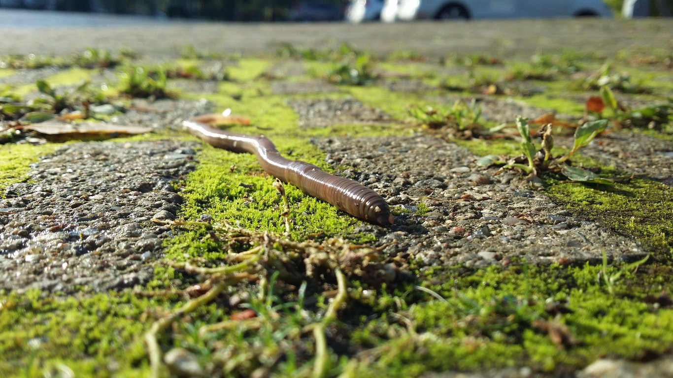 After How Many Miles Should I Replace My Tires? Mileage Isn’t the Only Answer