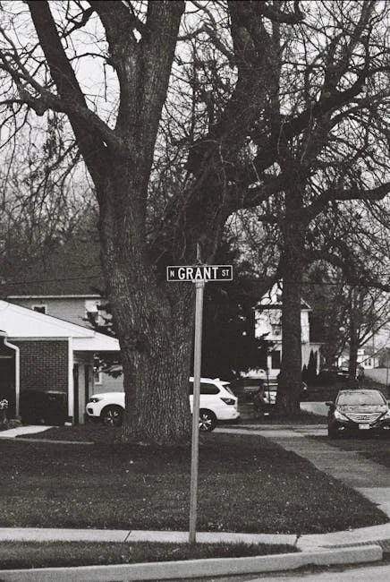 Image describing How to Get 7 Proven College Grants Fast in 2026?