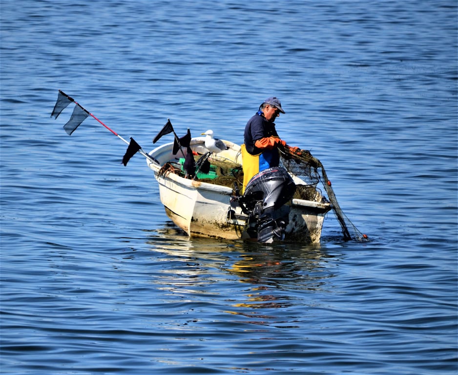 Yamaha outboard motor