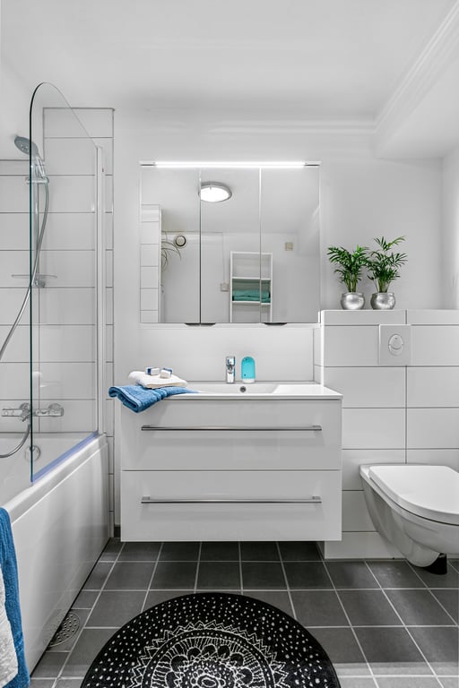 modern bathroom renovation