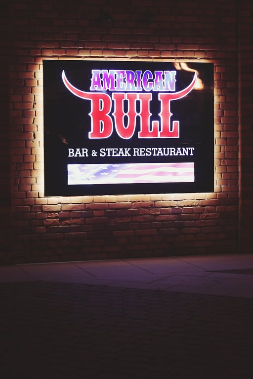 semi truck bull bar