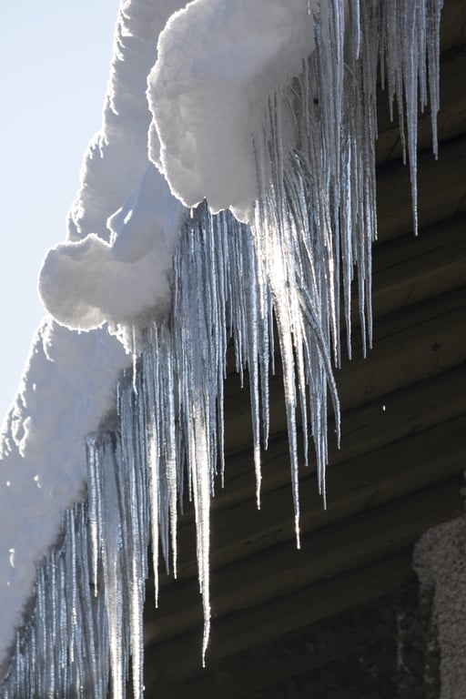 roof gutter cleaning