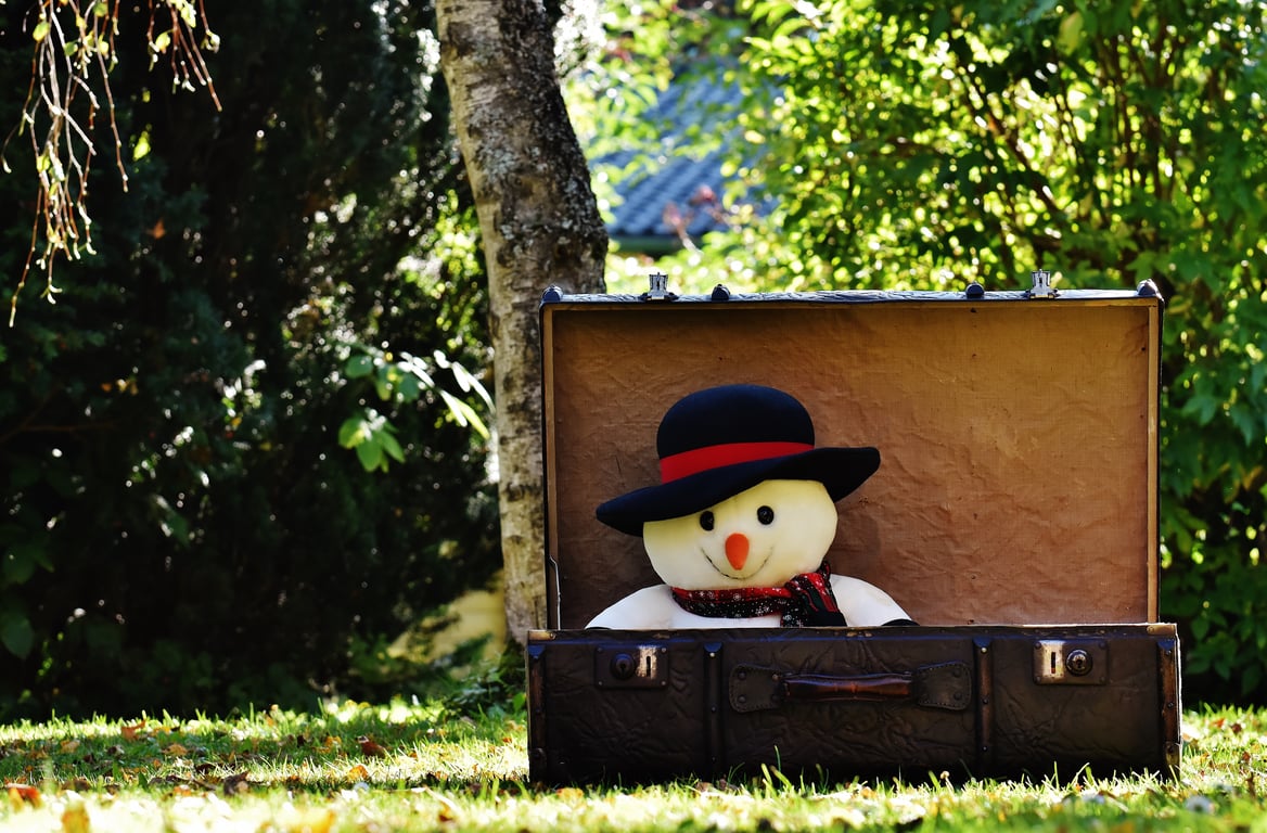 Away carry-on suitcase