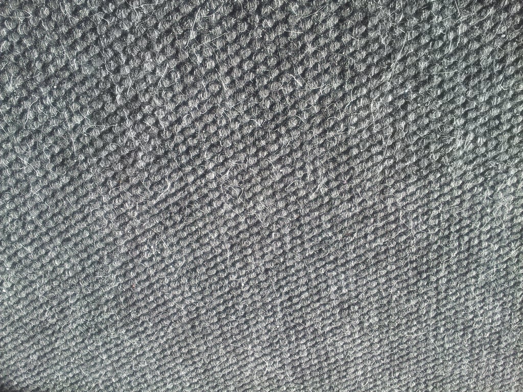 damaged carpet flooring