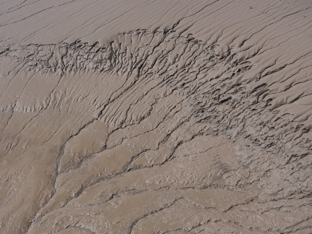 garden drainage swale