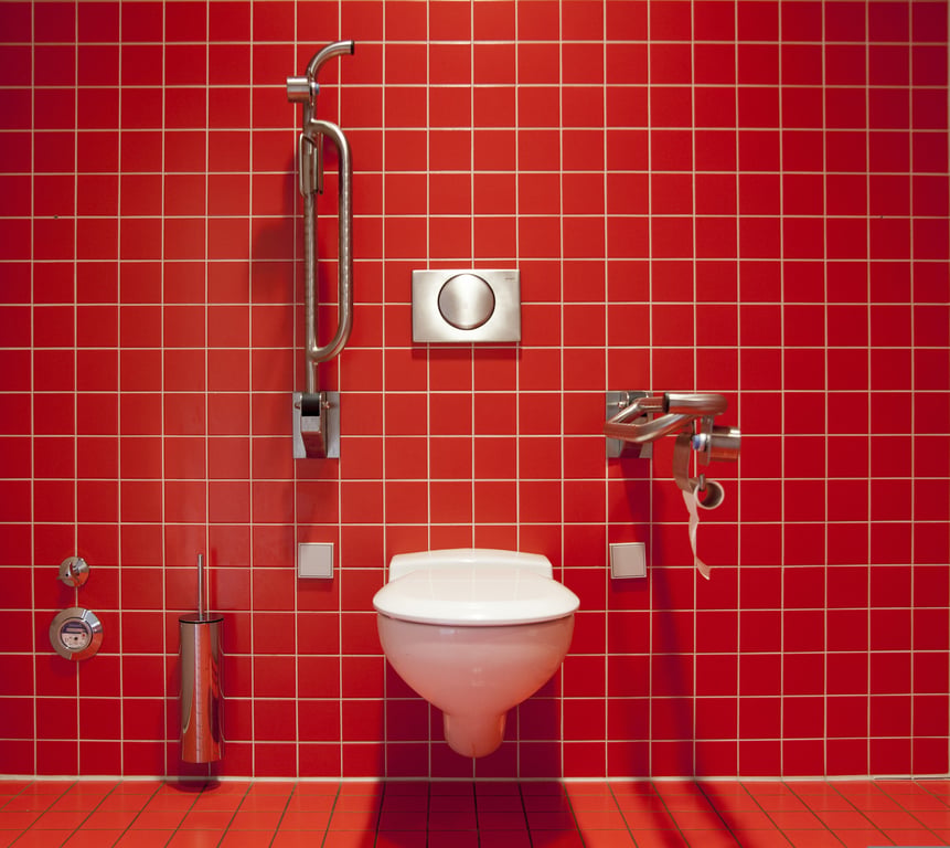 accessible bathroom grab bars