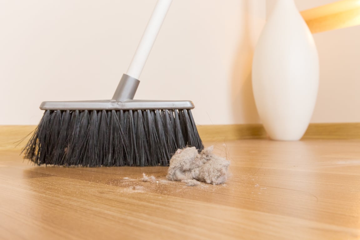 professional house cleaning