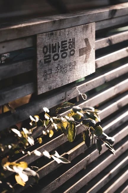 Image describing How to Learn Korean Fast 7 Best Classes in 2026?