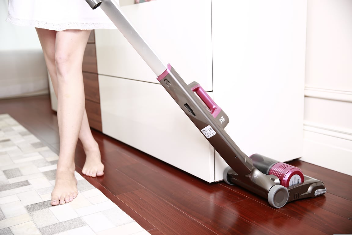 professional house cleaner